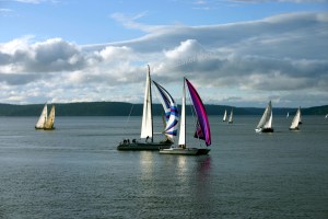 Sailboat Race on Puget Sound