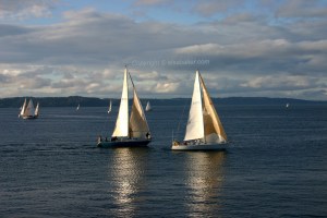 Sailboats on Puget Sound